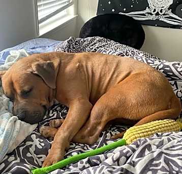 Photo of Bruce