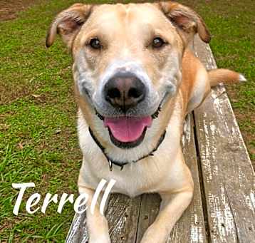 Photo of Terrell