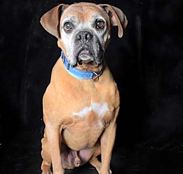 Photo of Bingo