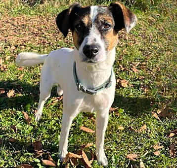 Photo of Swayze