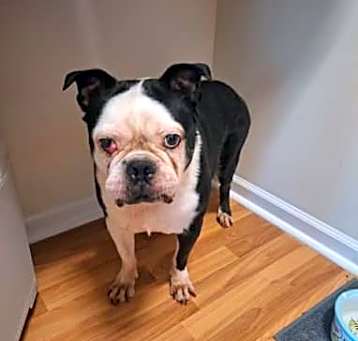 Photo of Ayla
