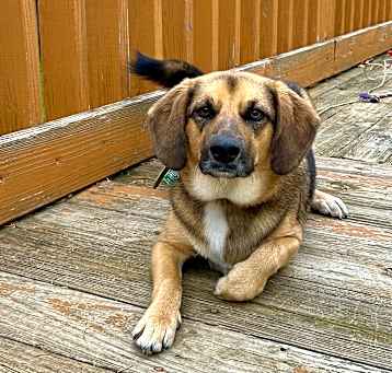Photo of Tabitha