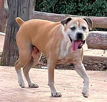 Photo of Roxy