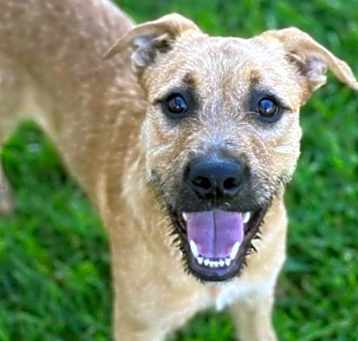 Photo of Clarabelle