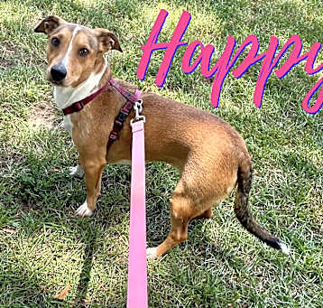 Photo of Happy in Texarkana TX