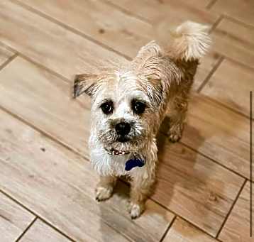 Photo of Daisy