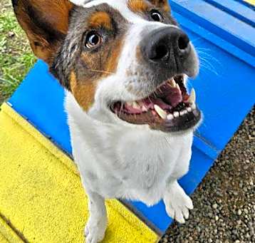Photo of Spike