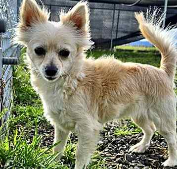 Photo of Taco