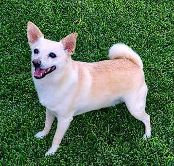 Photo of CHARLIE