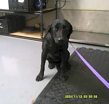 Photo of Vivian