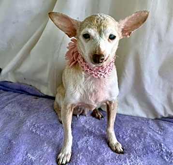 Photo of BIBI