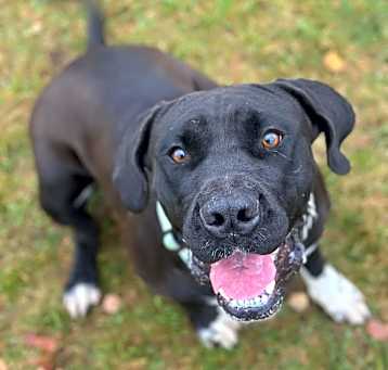 Photo of Maisy
