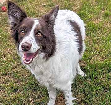 Photo of Lucy