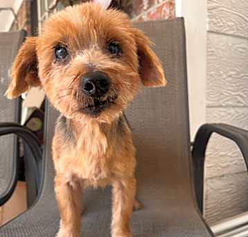 Photo of Arty