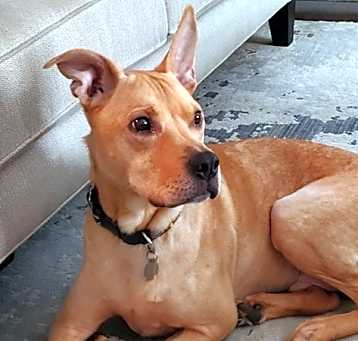 Photo of Juggie