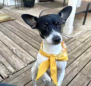 Photo of Bella Boop