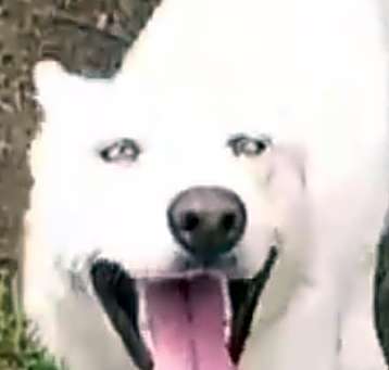 Photo of Skylar