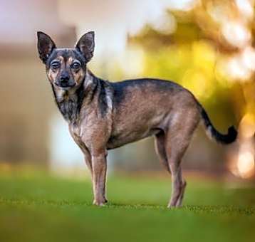 Photo of Leia