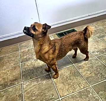 Photo of Teddy