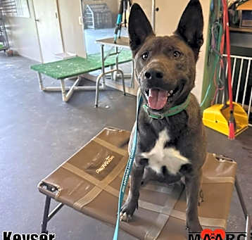 Photo of Keyser