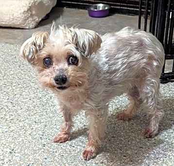 Photo of Spike