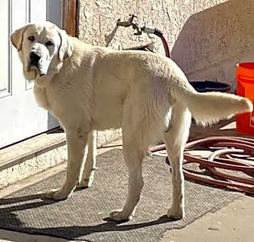Photo of Hans