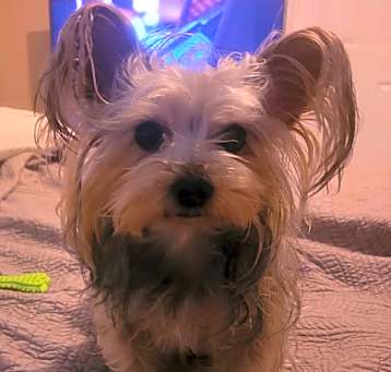 Photo of Minnie