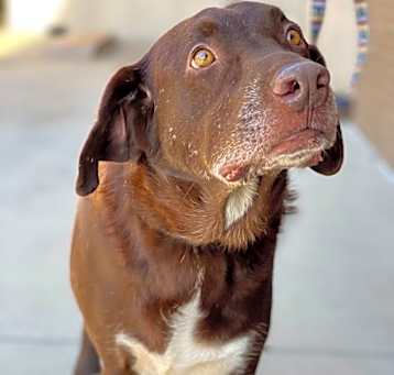 Photo of Jake