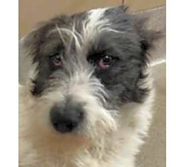 Photo of Nova NKA Marley