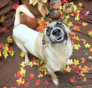 Photo of Phoebe
