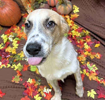 Photo of Winston