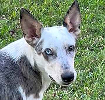 Photo of Swarmy