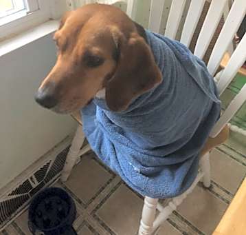 Photo of Boone
