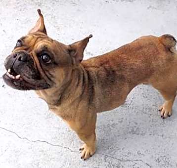 Photo of CoCo