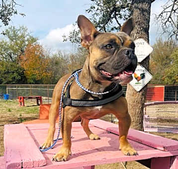Photo of Zeus