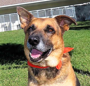Photo of Oscar