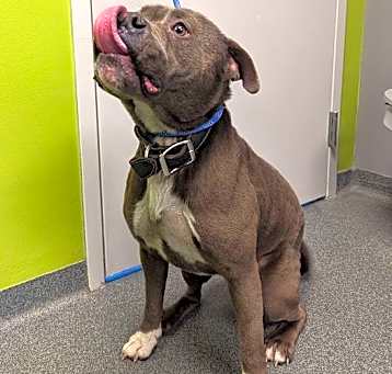 Photo of Ernie