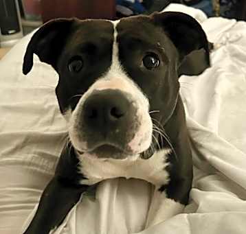 Photo of CLEO