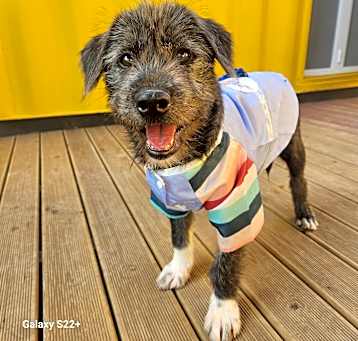 Photo of Atom