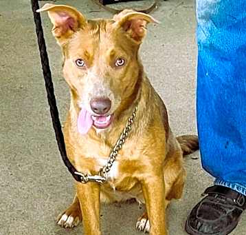 Photo of Skye