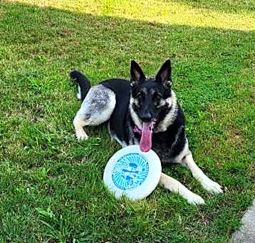 Photo of Bella