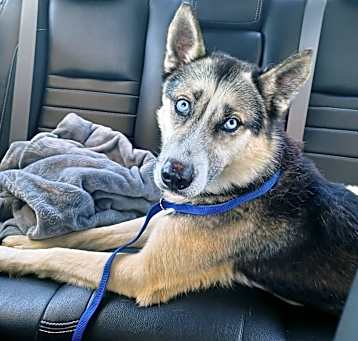 Photo of Felix