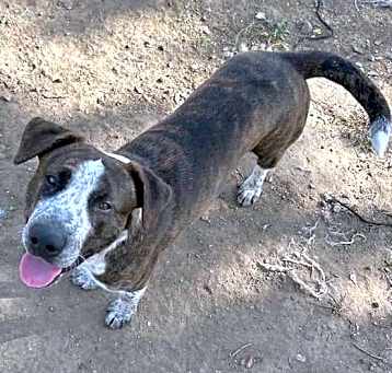 Photo of MAX