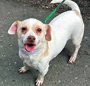 Photo of CHIQUITA
