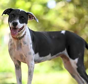 Photo of Julieta