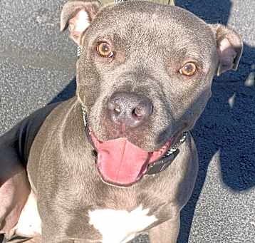 Photo of Roscoe