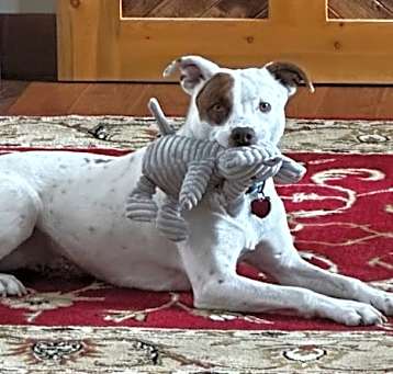 Photo of Izzy