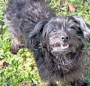 Photo of Bentley