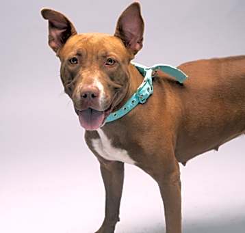 Photo of Bonnie