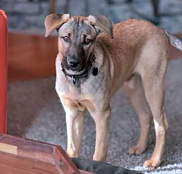 Photo of Teddy